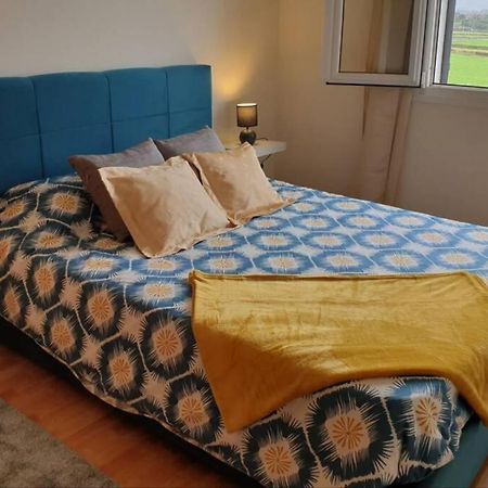 Hill & Sea House Apartment Ribeira Grande Bagian luar foto