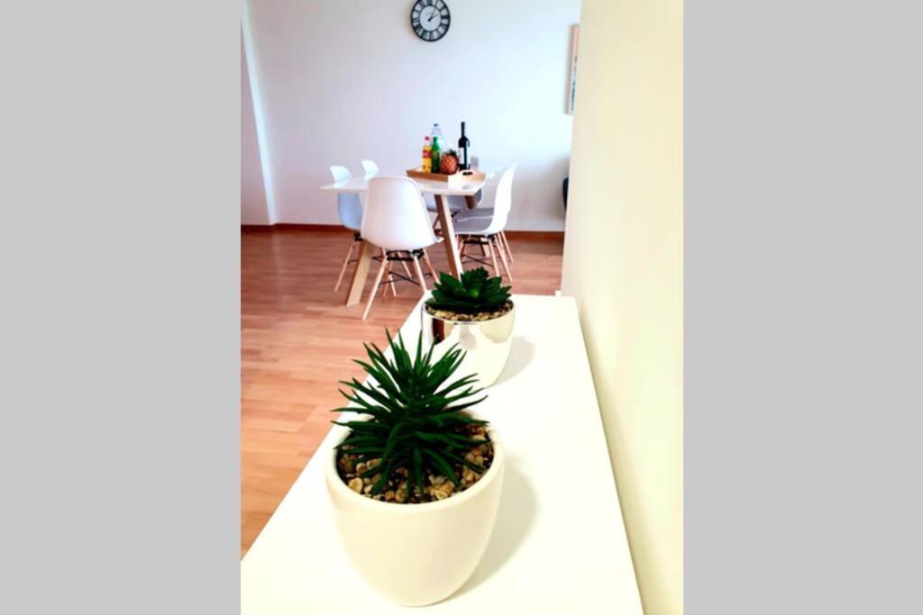 Hill & Sea House Apartment Ribeira Grande Bagian luar foto